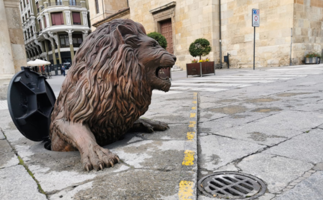 Así tú también puedes tener un León