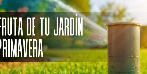 ¡Prepara tu jardín para la primavera!