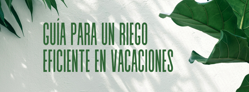 Guía para Regar tus Plantas Durante las Vacaciones