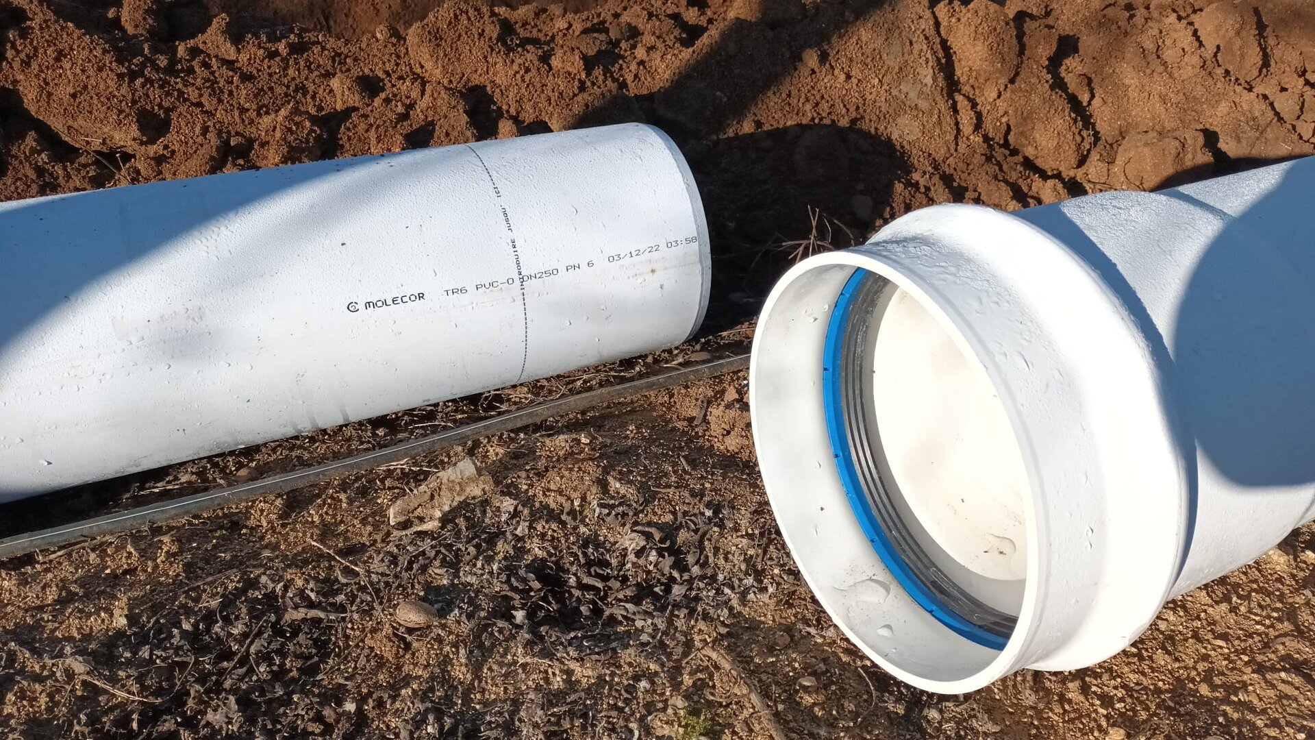 Dia Mundial del Agua en Comercial Silva